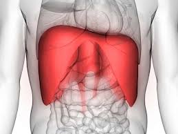 Find symptoms,causes and treatments of chest diseases.for your health. Diaphragm Spasm Symptoms Causes And Treatment