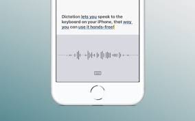 There are no overages either, and unlike skype or whatsapp. What To Do If Dictation Isn T Working On Your Iphone Or Ipad Appletoolbox