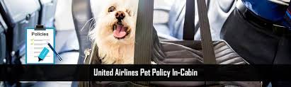 pet policy of united airlines for in