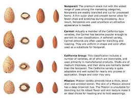 Almond Varieties Debbie Roy Brokerage Company