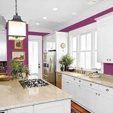 Bright Black Raspberry Paint Color From