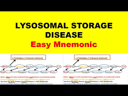 lysosomal storage disease easy