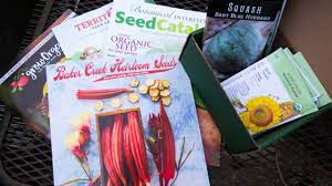 2021 seed catalog reviews sf bay