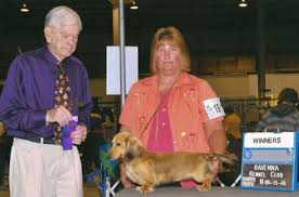 For those in kentucky there is a kentucky dachshund rescue. Honeyman S Miniature Dachshunds