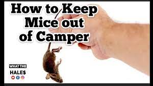 mouse proofing your rv cing hack