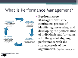 Historical developments in performance management. Human Resource Audit Performance Management System Ppt Download