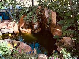 Water Conservation Garden