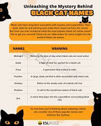 black cat names unique and creative