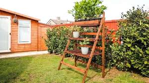 Diy Ladder Shelf For Plants Free