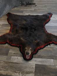 black bear taxidermy rug sku 2233 all