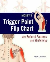 Mosbys Trigger Point Flip Chart With Referral Patterns And