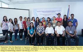 biotech research philippine carabao