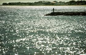 long island sound water quality gets