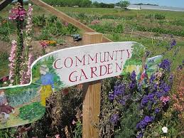 Community Garden In Your Neighborhood