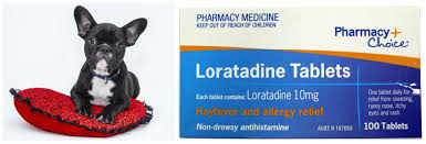 Loratadine For Dogs Uses Side Effects And Dosages Ebknows
