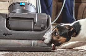 Image result for dyson and pets
