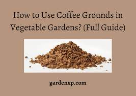 coffee grounds in vegetable gardens