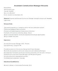 Technical Project Manager Resume Finance And Insurance Manager