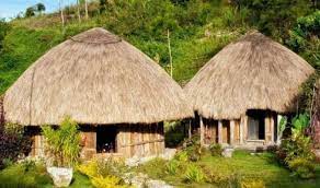 Bangunan ini terbuat dari kayu dengan atap berbentuk kerucut terbuat dari jerami. Selain Honai Ini 7 Gambar Rumah Adat Papua Lain Dan Fungsinya