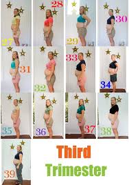 Unique Baby Trimesters Chart Baby Bump Chart Week By Week