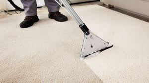 carpet cleaning service arvada co