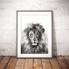 Lion Drawing Wall Art Prints Lion Head