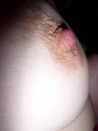 File:Macro erect female nipple close up.jpg - Wikimedia Commons