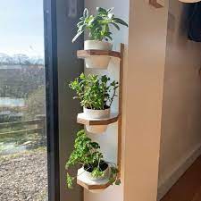 Wall Hanging Pot Stand At Low