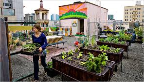 Garden Urban Farm