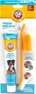 enzymatic dog dental kit
