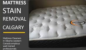 mattress clean top mattress cleaning