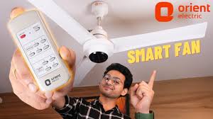 best bldc ceiling fan in india with
