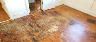 water damage zack hardwood flooring