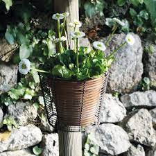 Rust Wire Wall Hung Basket Plant Pot