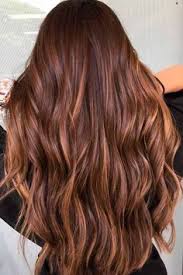 57 Best Copper Brown Hair Images Hair Long Hair Styles