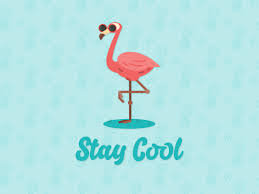 Stay Cool by Rebecca Wright on Dribbble