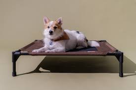 the 6 best dog beds of 2023 reviews