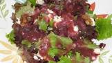 baby greens salad with cranberry balsamic vinaigrette