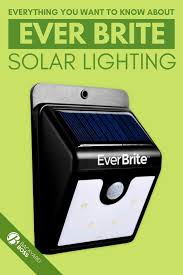 Everything You Want To Know About Ever Brite Solar Lighting In 2020 Best Solar Path Lights Solar Lights Solar Path Lights