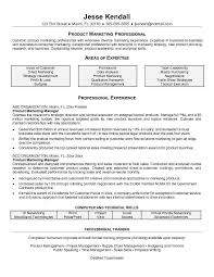 CV Templates   Professional Curriculum Vitae Templates