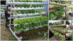 Piping and fittings can be glued with pvc cement (for pvc pipe), but the connections will be permanent. Diy Hydroponic Garden Tower Using Pvc Pipes Hydroponics Diy Hydroponic Gardening Hydroponic Gardening Diy