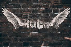 Wings Bricks Walls Hd Wallpapers