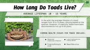 toad lifespan how long do toads live