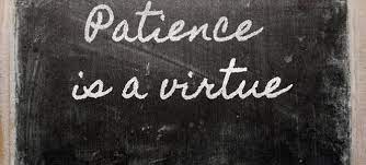 entrepreneurship patience is a virtue