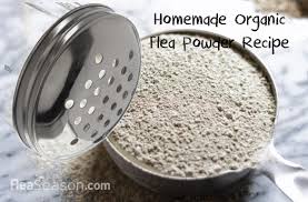homemade flea powder for cats