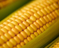 5 surprising health benefits of corn