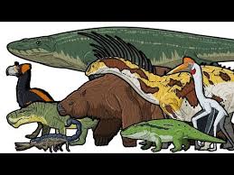 Prehistoric Life Animated Size Comparison