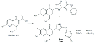 4 oxadiazole hybrids of nalidixic acid