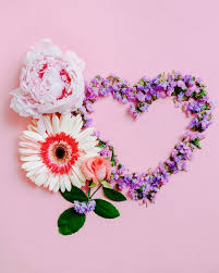 love flowers images free on