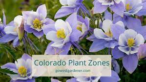 what s my colorado plant hardiness zone